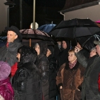 2011fen09-11
