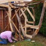 DSC_6388